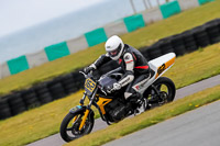 PJ-Motorsport-2019;anglesey-no-limits-trackday;anglesey-photographs;anglesey-trackday-photographs;enduro-digital-images;event-digital-images;eventdigitalimages;no-limits-trackdays;peter-wileman-photography;racing-digital-images;trac-mon;trackday-digital-images;trackday-photos;ty-croes